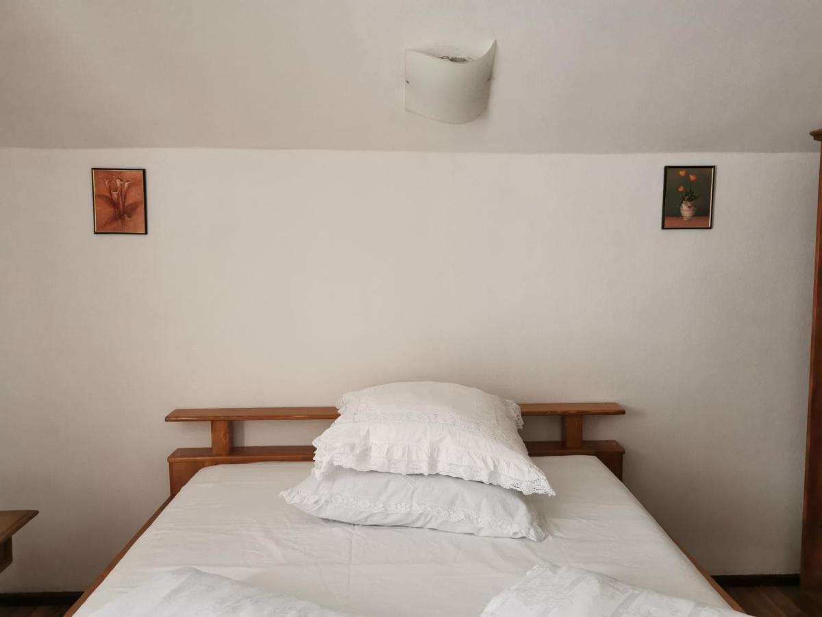 Guest house Pensiunea Bradet - Padis
