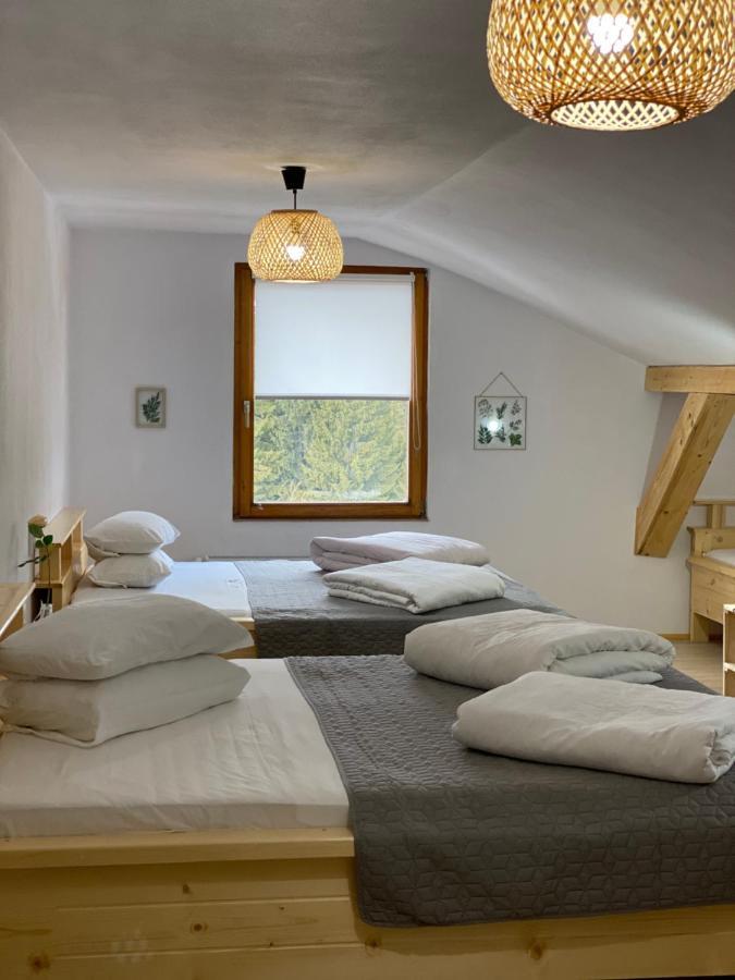 Guest house Pensiunea Bradet - Padis